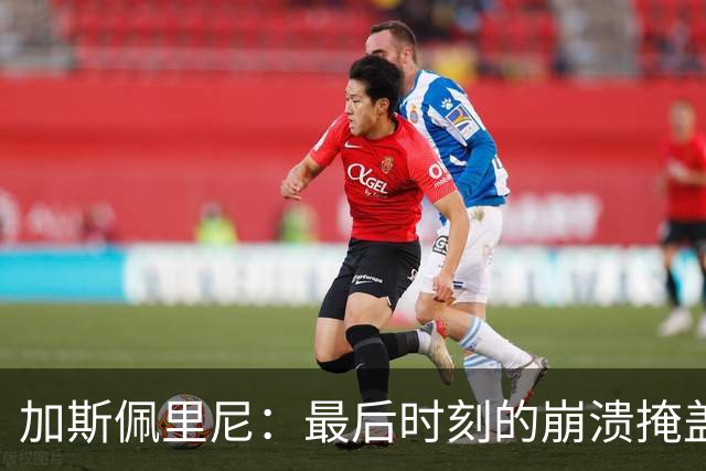 加斯佩里尼：最后时刻的崩溃掩盖了我们的辉煌表现